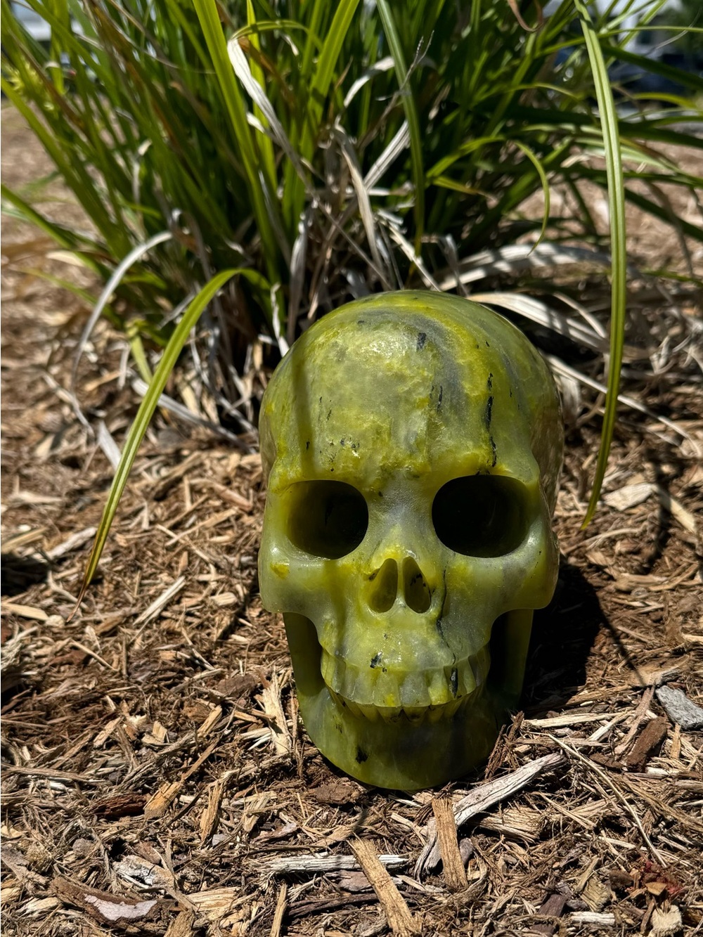 6.8 inch Serpentine Carved Skull Sculpture